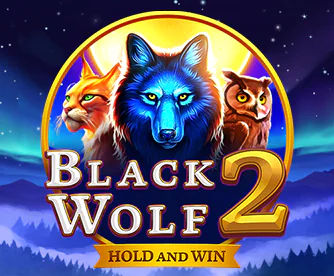 Gra slotowa Black Wolf 2 Hold and Win